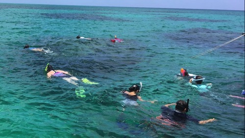 guided family snorkeling tours in northern eleuthera guided family snorkeling tours in northern eleuthera